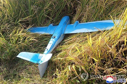 Kuzey Kore'ye drone uçuran 3 sivil ertelenmiş hapis cezası aldı