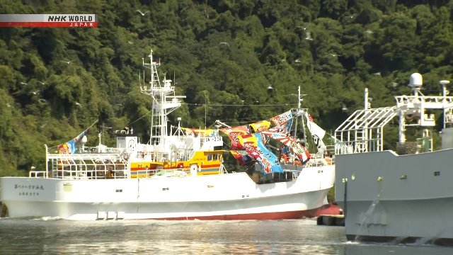 Batı Japonya'da kırmızı kar yengeç sezonu açıldı
