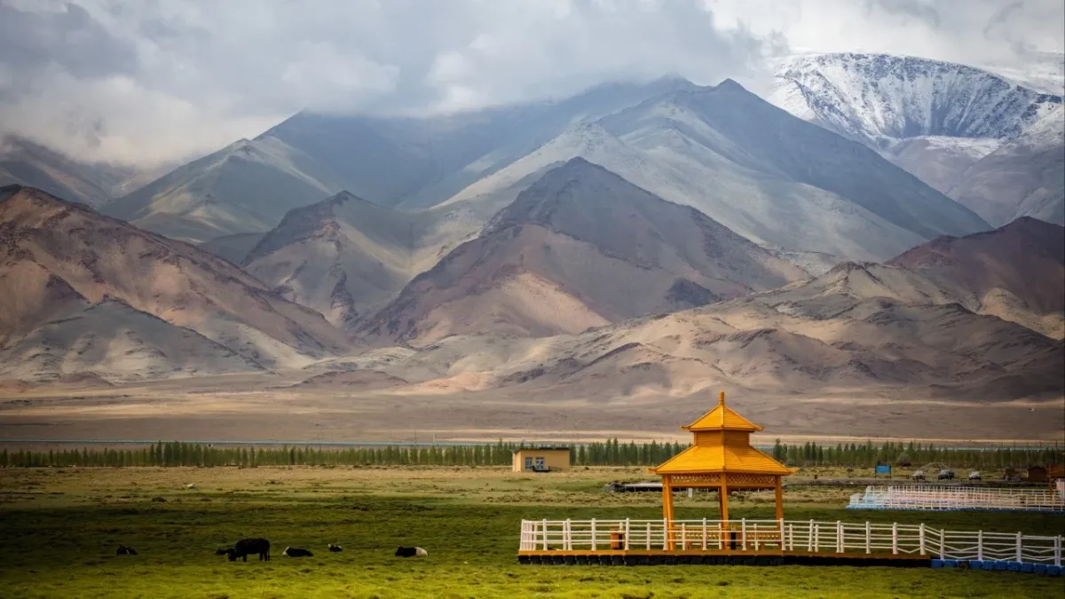 Bilim insanları Xinjiang'ın en eski mezarlıklarındaki DNA'nın yarısını Sarı Nehir çiftçilerine dayandırdı