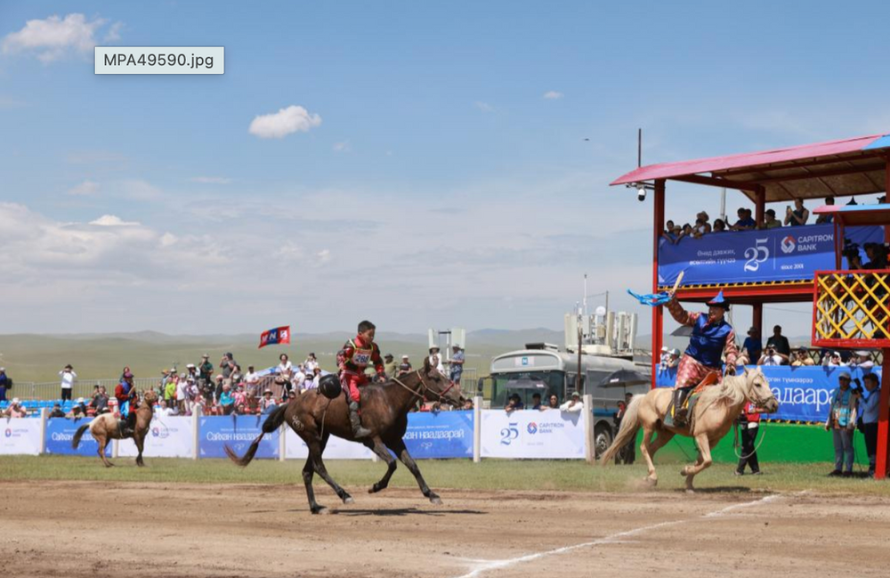 Moğolistan geleneksel Naadam at yarışını korumak için yapay zekâ kullanıyor
