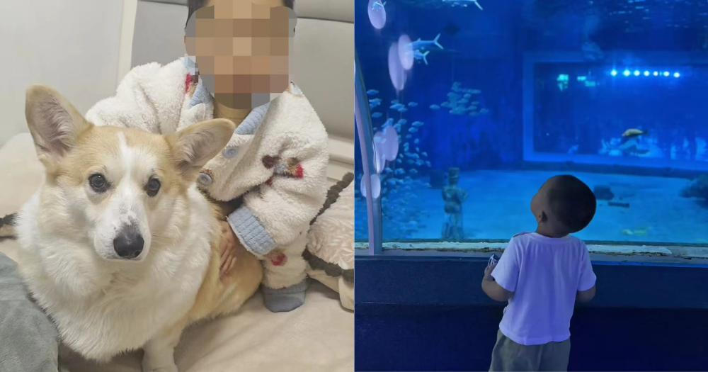 Çin'de 2 yaşındaki çocuk, babası köpeği gezmeye çıktığı 12 dakikada 18. kattan düştü