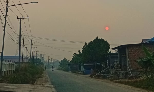 Sivil toplum grupları Kalimantan yangınları nedeniyle Endonezya hükümetine dava açtı