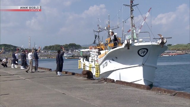Batı Japonya'da şişkin balığı sezonu başladı