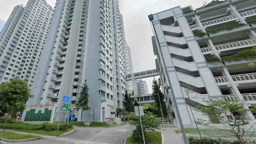 HDB, Telok Blangah'daki yeniden satış ilanı endişeleri sonrası daire dönüşüm şemasını gözden geçirecek