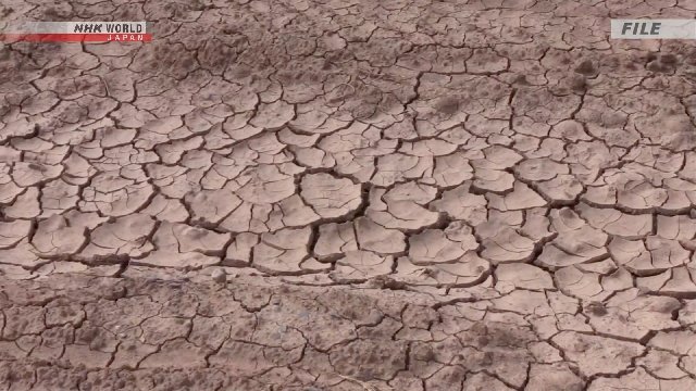 WMO: El Niño gelecek şubat ayına kadar sürecek