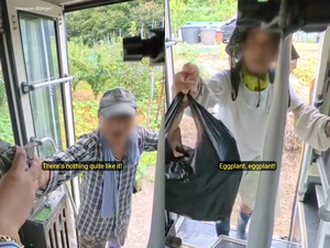 Güney Kore'de yaşlı çiftçiler hasadını paylaşmak için kırsal otobüsü durdurdu