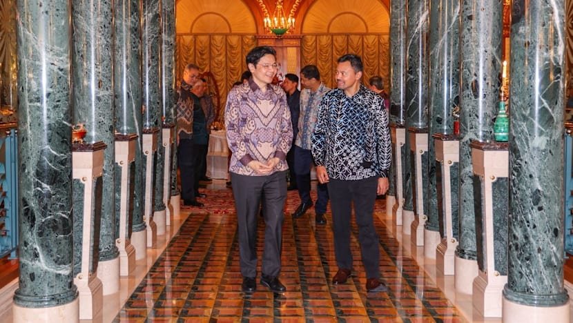 Brunei veliaht prensi SAFTI City ve okyanus akvaryumunu ziyaret edecek, Singapur'a beş günlük ziyarette