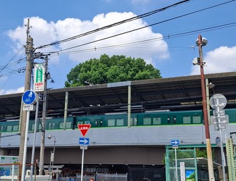 c405952b0770a056f27e65c0ebbea11a.jpg
