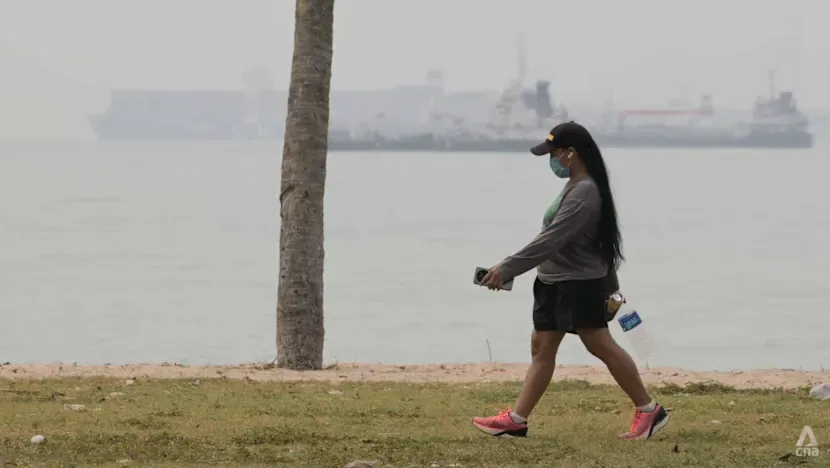 Sis perdesi Singapur'da hava kalitesini 7 yıl sonra ilk kez sağlıksız aralığa itti