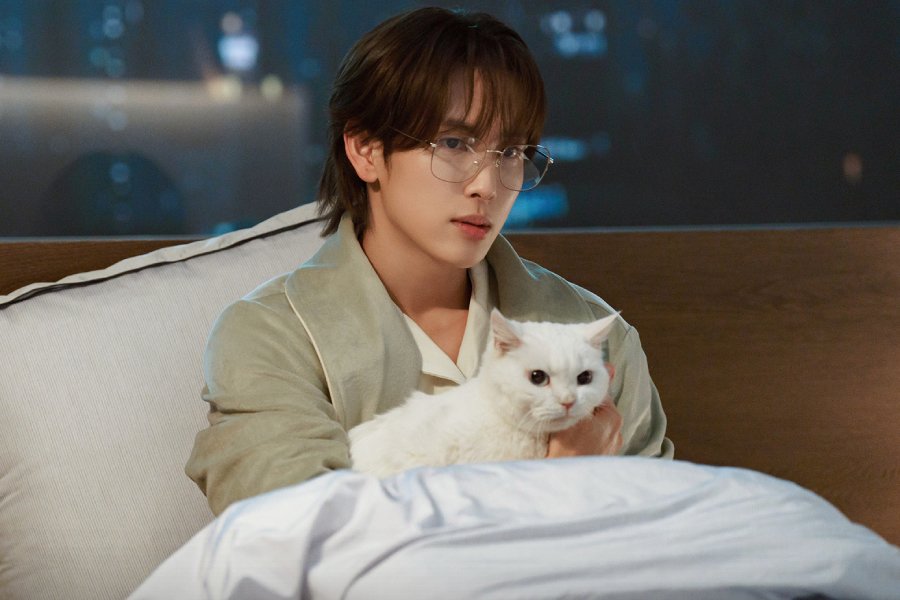 Yim Si Wan işte talepkar bir mükemmeliyetçi, evde sevgi dolu bir kedi babası “Love in Disguise”de