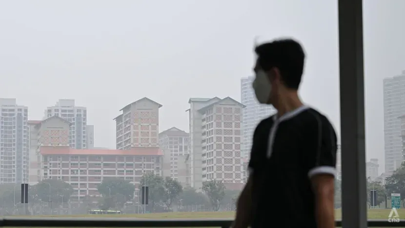 Singapur'da tüm bölgelerde hava kalitesi sağlıksız aralıkta; en kötü durum merkezi bölgede 24 saatlik PSI 150'yi aştı