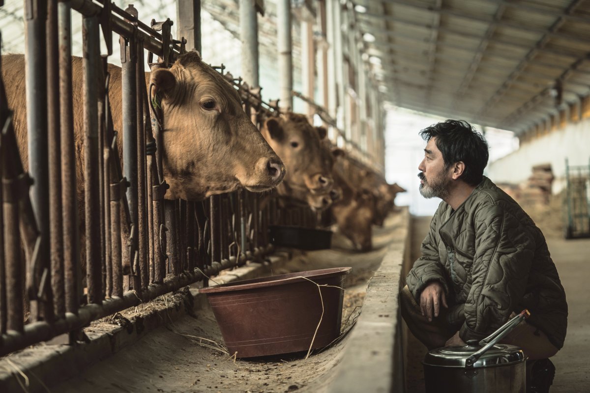 Güney Koreli oyuncular Ryu Seung Ryong, Park Hae Joon ve Ong Seong Wu'lu 'Cattle Run'a 5 yıl sonra vizyon tarihi