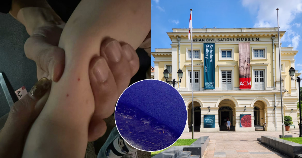 Çin'den Singapur'a gelen 2 yaşındaki çocuk Asya Medeniyetleri Müzesi önünde yılan ısırığı aldı