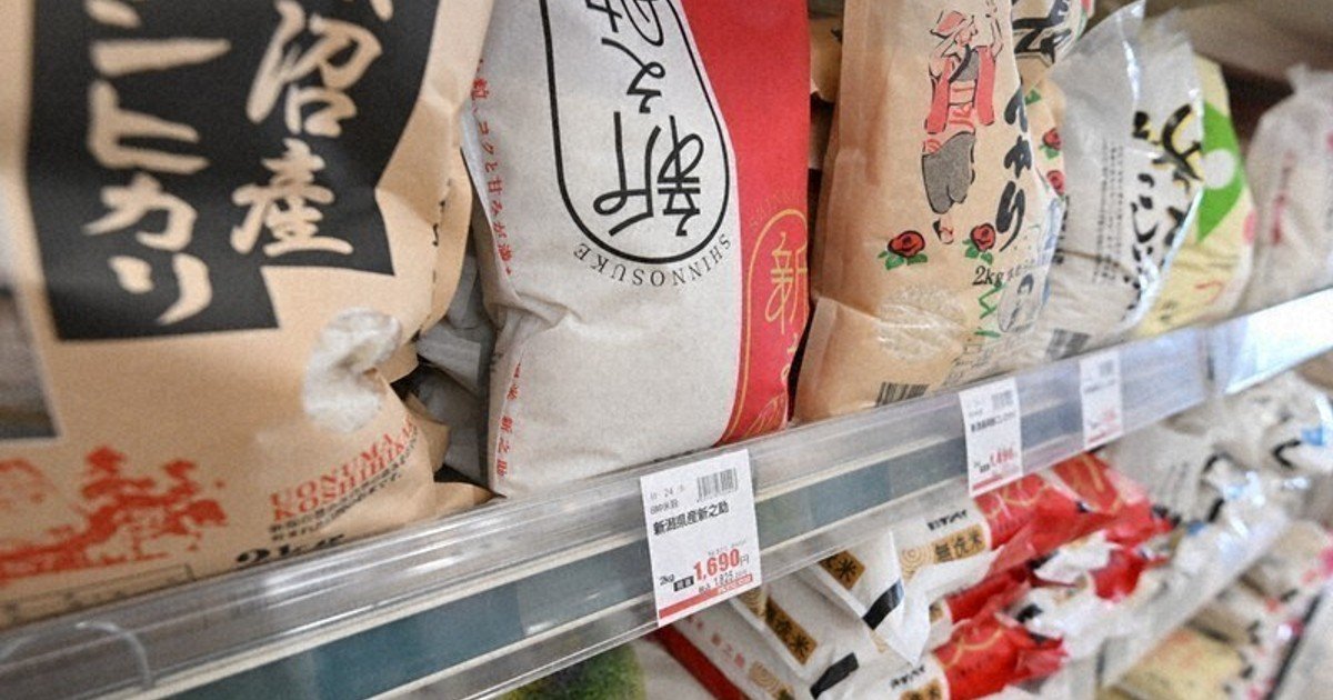 Pirinç kokarcası Japonya'da 37 ile yayıldı, hasar her geçen gün artıyor