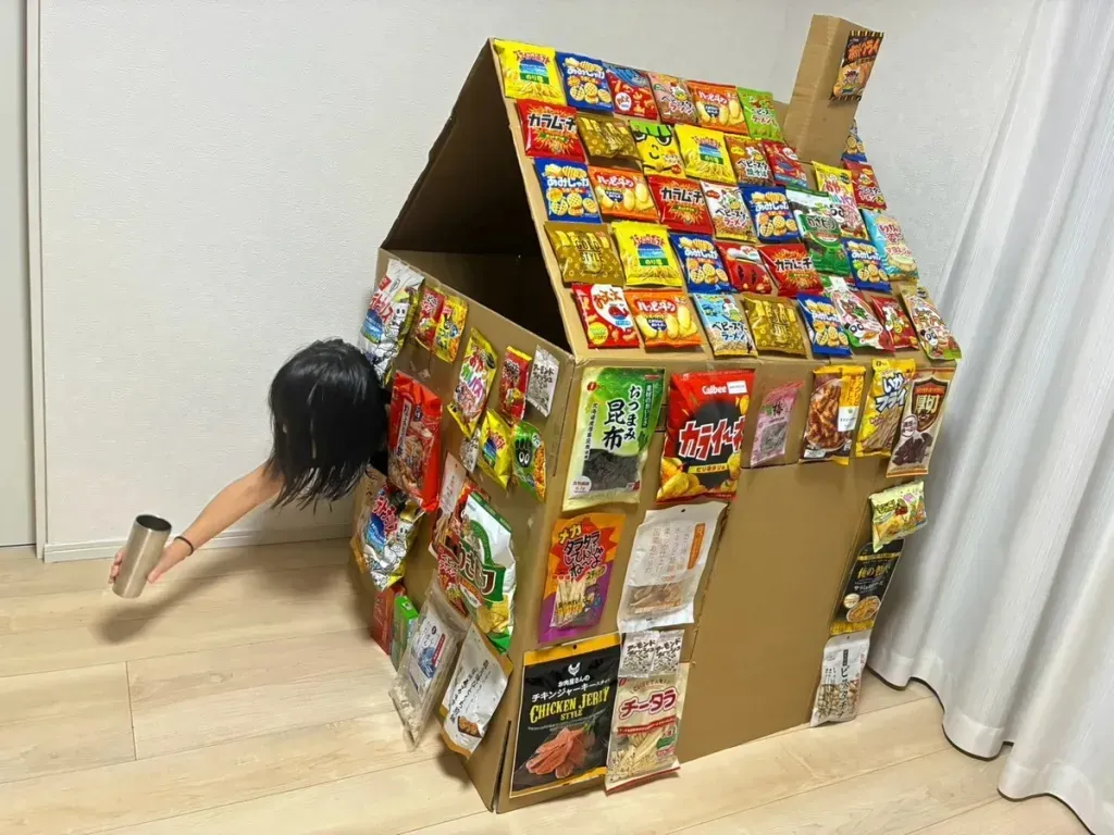 Japon muhabir Natsuno Futon 3.000 yenle kartondan atıştırmalık ev inşa etti