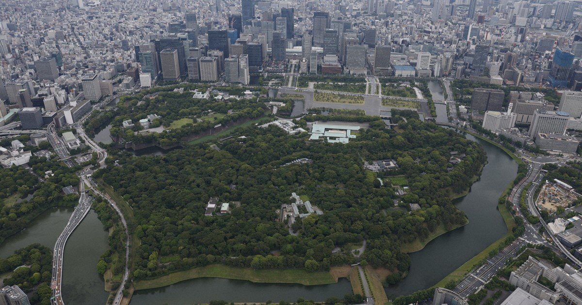 Tokyo İmparatorluk Sarayı ormanında 30 yıllık biyolojik araştırma yeni türler ve kayıpları ortaya çıkardı